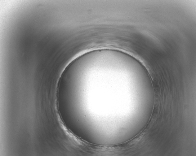 X0000068261534200605051736