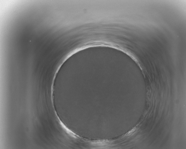 X0000068261535200605051736