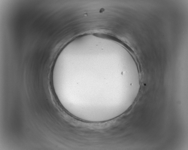 X0000068260001200605121832