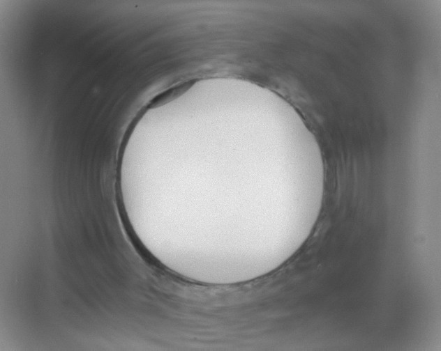 X0000068260003200605121832