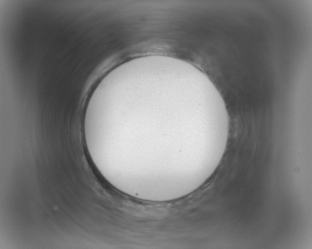 X0000068260004200605121832