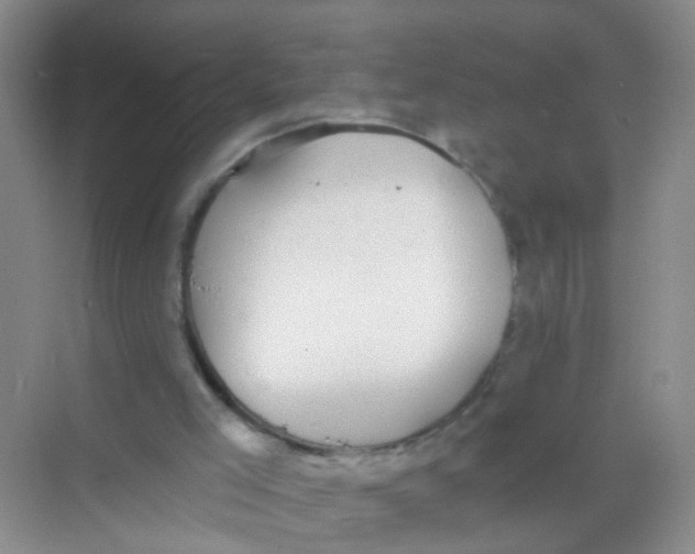 X0000068260005200605121832