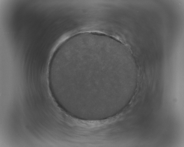 X0000068260006200605121832