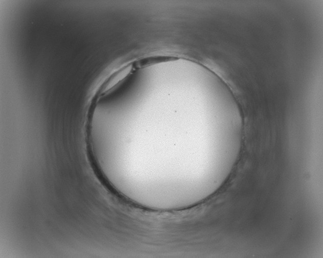 X0000068260007200605121832