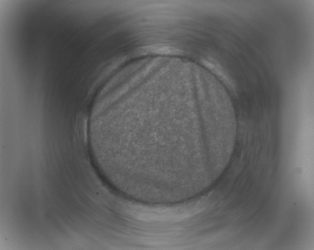 X0000068260014200605121832