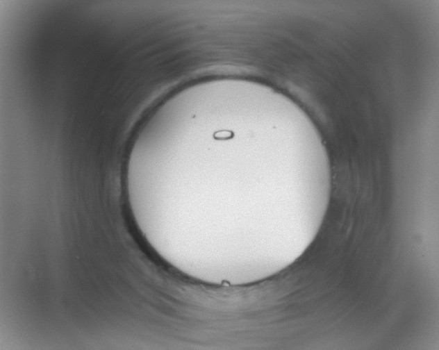 X0000068260015200605121832