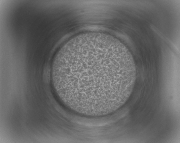 X0000068260016200605121832