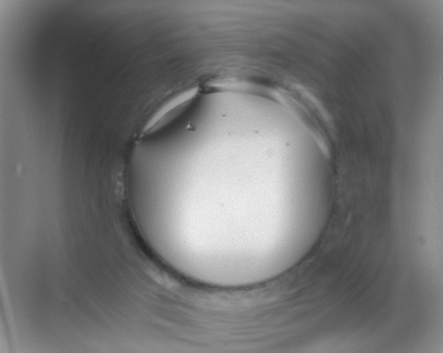 X0000068260017200605121832