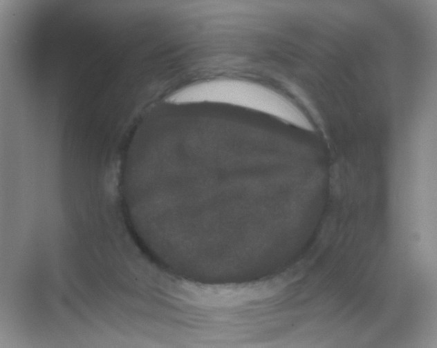 X0000068260018200605121832