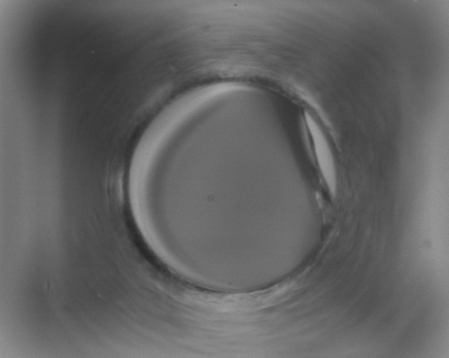 X0000068260019200605121832