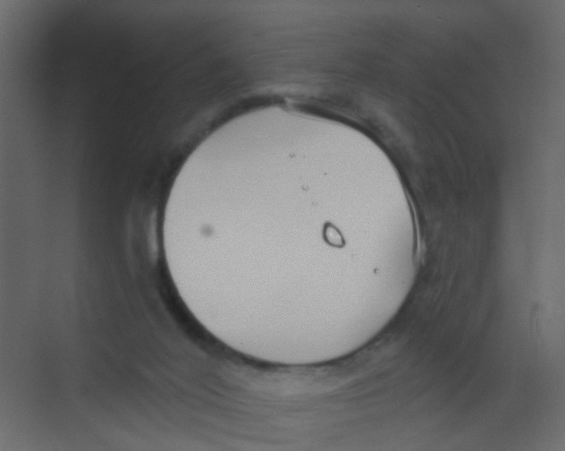 X0000068260020200605121832