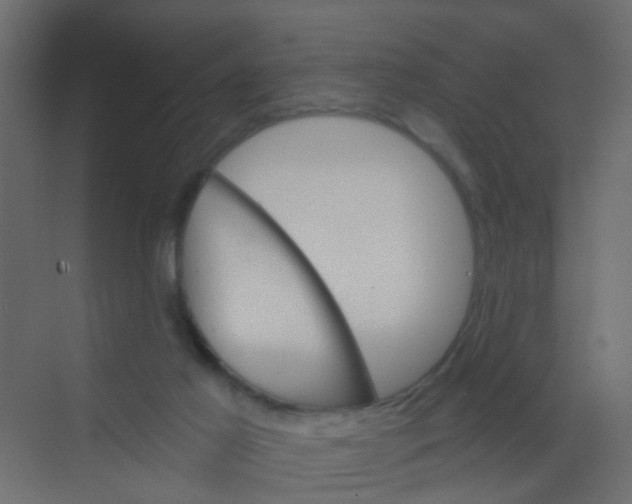 X0000068260021200605121832