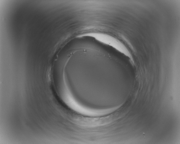 X0000068260023200605121832