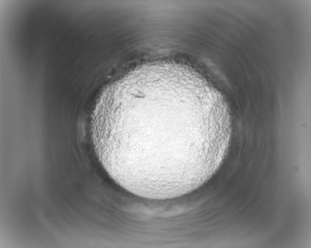 X0000068260026200605121832