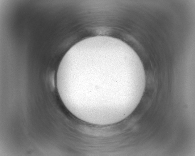 X0000068260028200605121832