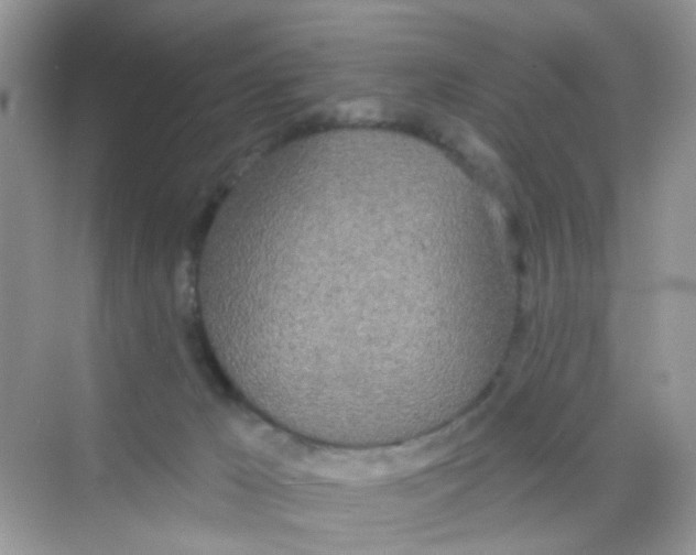 X0000068260029200605121832