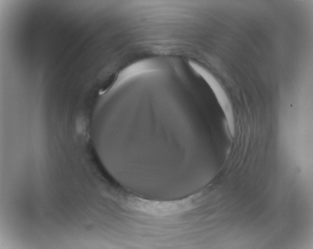 X0000068260031200605121832