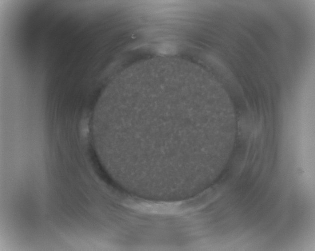 X0000068260032200605121832