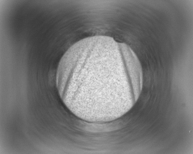 X0000068260034200605121832