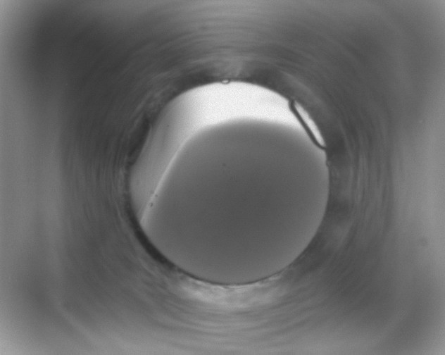 X0000068260035200605121832