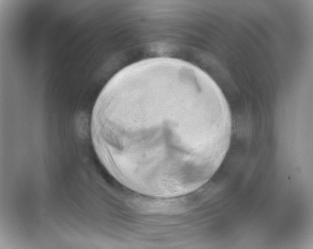 X0000068260036200605121831