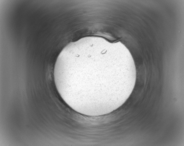 X0000068260038200605121831