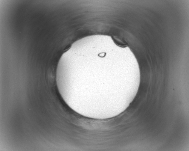 X0000068260040200605121831