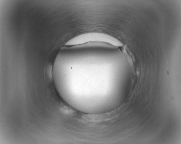 X0000068260041200605121831