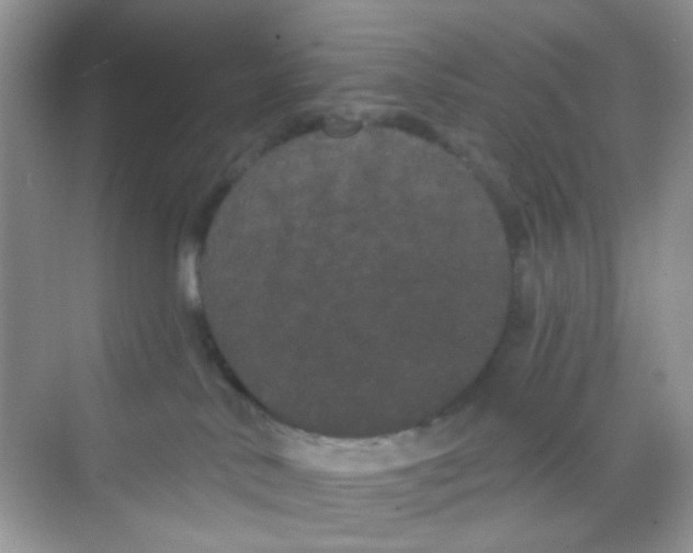 X0000068260042200605121831