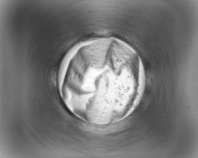 X0000068260043200605121831