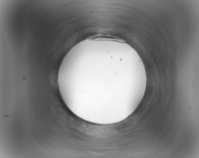 X0000068260044200605121831