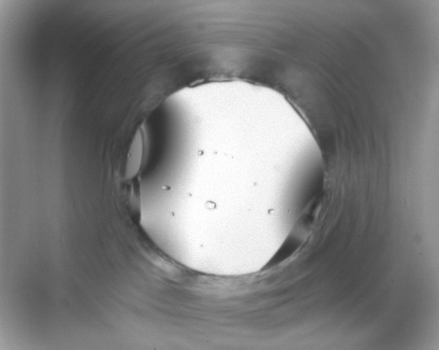 X0000068260045200605121831