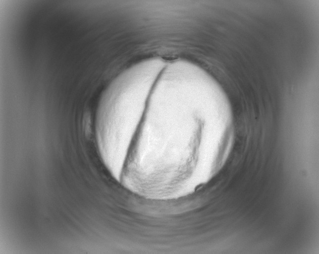 X0000068260046200605121831