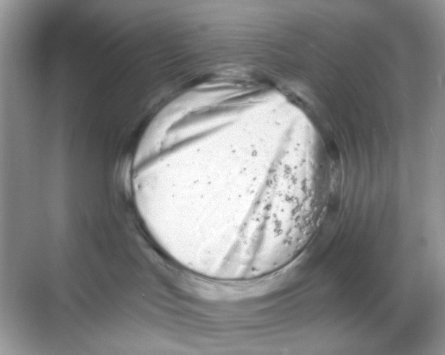 X0000068260047200605121831