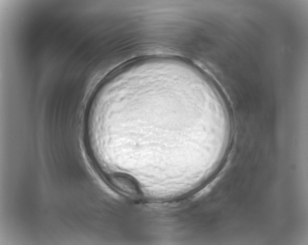 X0000068260049200605121830