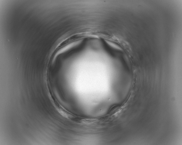 X0000068260051200605121831