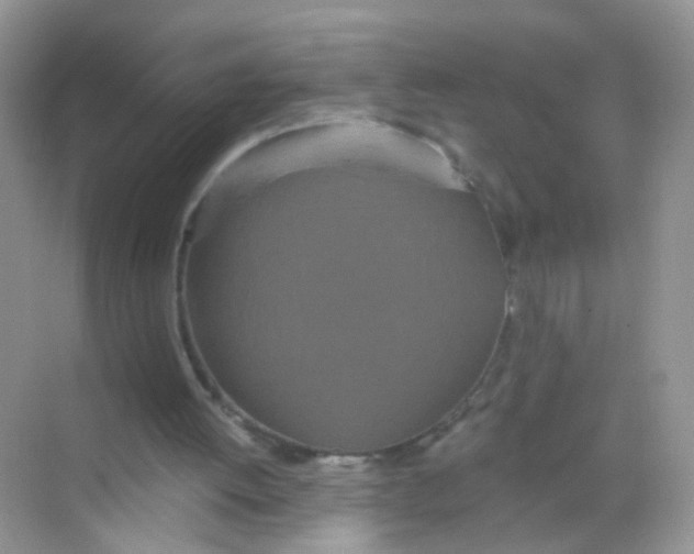 X0000068260052200605121831