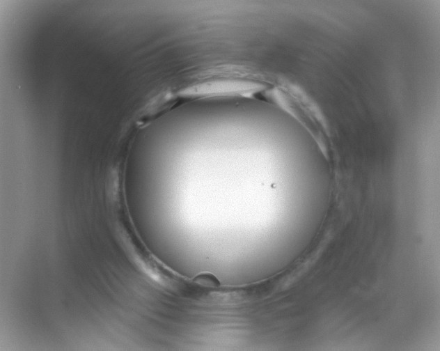 X0000068260057200605121831