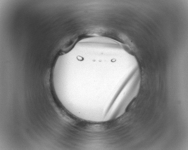 X0000068260058200605121831