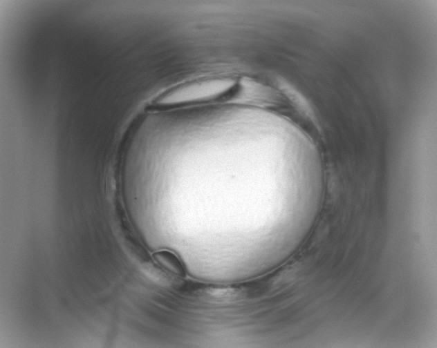 X0000068260059200605121831