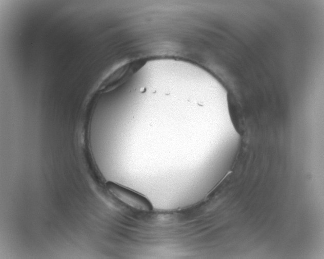 X0000068260060200605121831