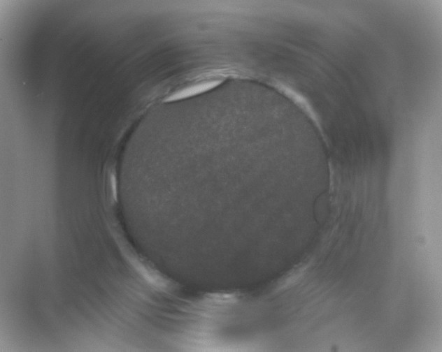 X0000068260061200605121831