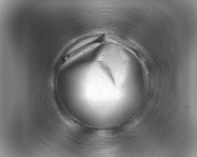 X0000068260064200605121831