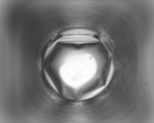 X0000068260068200605121831