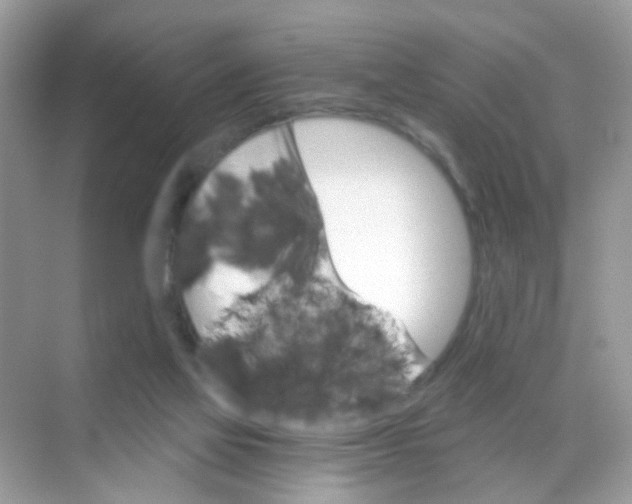 X0000068260069200605121831