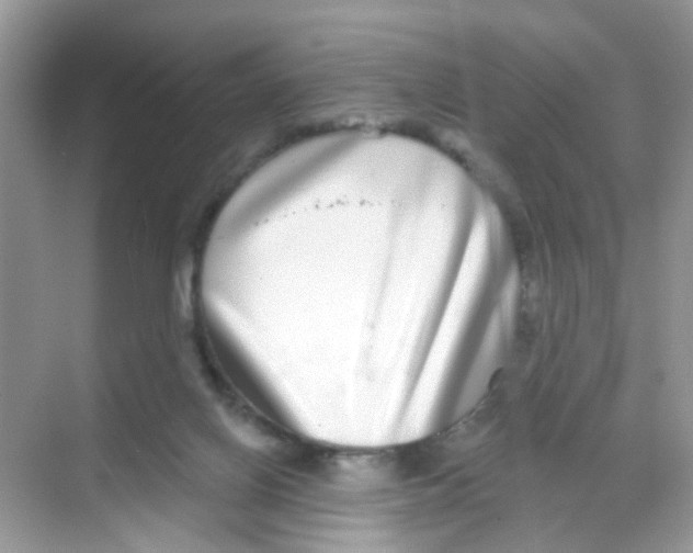 X0000068260070200605121831