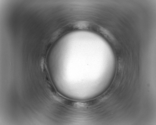 X0000068260073200605121831