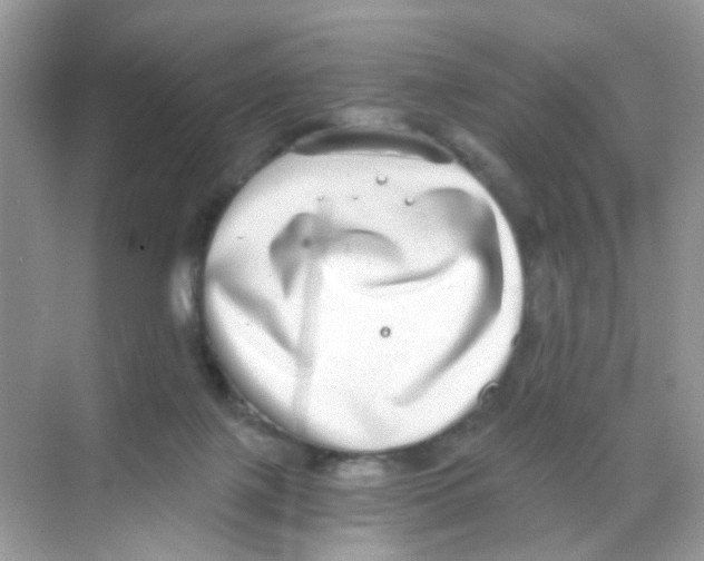 X0000068260075200605121831