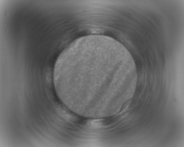 X0000068260078200605121831