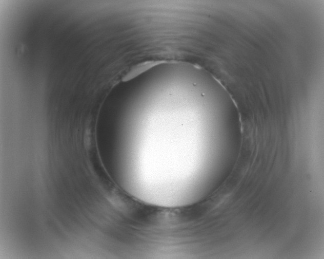 X0000068260080200605121831